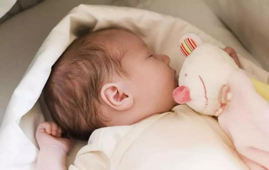 �ɶ�רҵ����ʦ