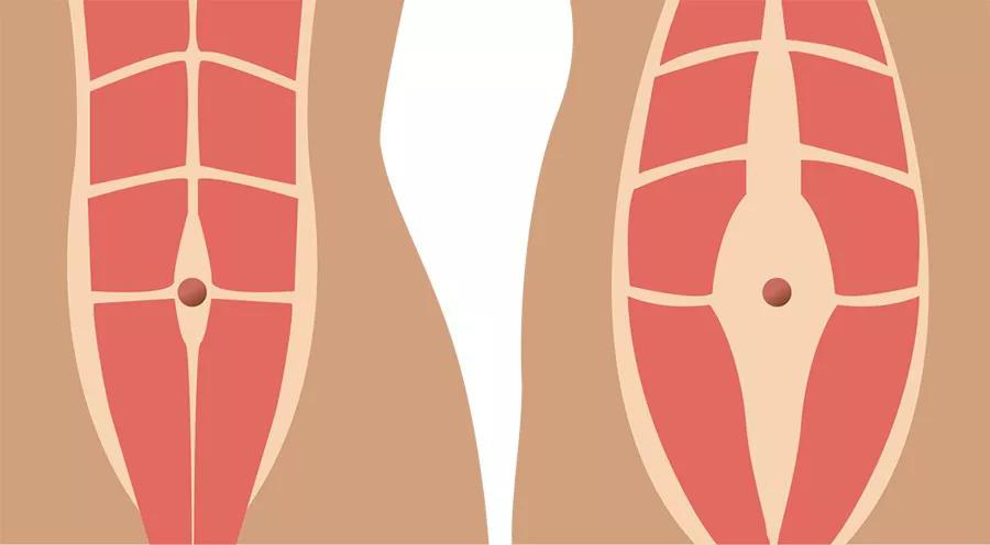 �ɶ���ֱ������