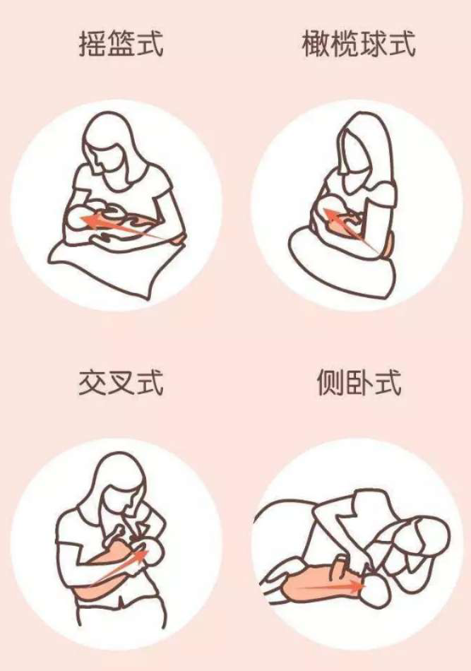 �ɶ��������ᱳʹ