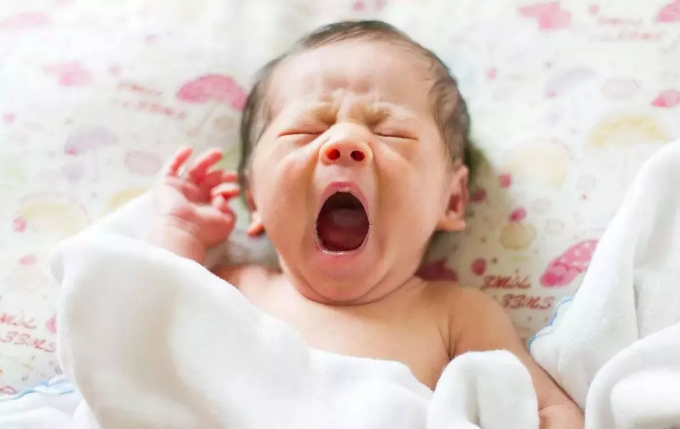 成都奶睡 成都奶睡