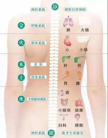 成都脾胃调理 成都脾胃调理