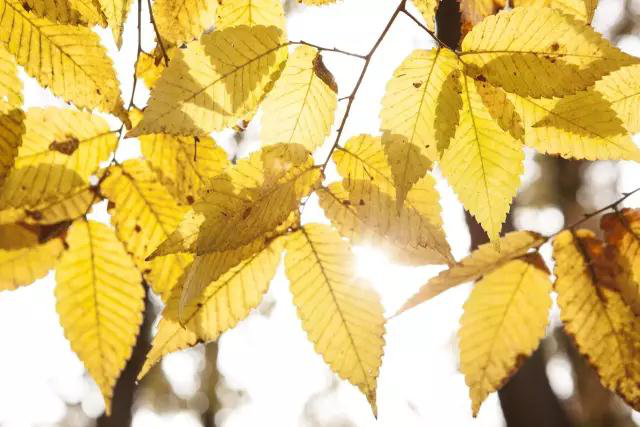 �ɶ��������󿵸�����