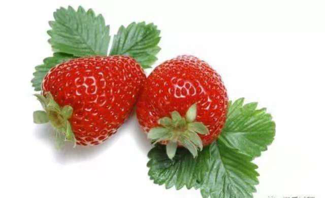 �ɶ�����