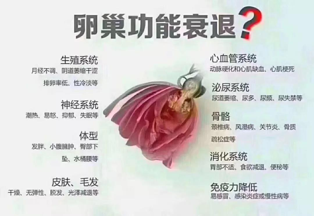 �ɶ��ѳ���˥