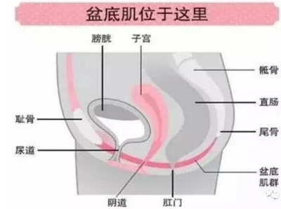 �ɶ���׿���